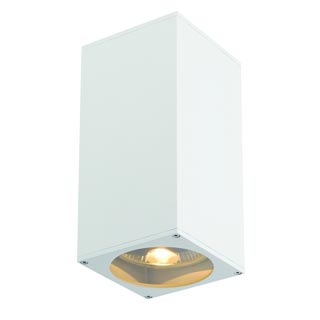 149291 BIG THEO UP-DOWN светильник настенный для 2-х ламп ES111 по 75Вт макс., белый, Marbel 149291 BIG THEO UP-DOWN светильник настенный для 2-х ламп ES111 по 75Вт макс., белый, Marbel