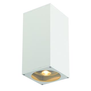 229571 BIG THEO UP-DOWN OUT светильник настенный IP44 для 2-x ламп ES111 по 75Вт макс., белый, Marbel 229571 BIG THEO UP-DOWN OUT светильник настенный IP44 для 2-x ламп ES111 по 75Вт макс., белый, Marbel